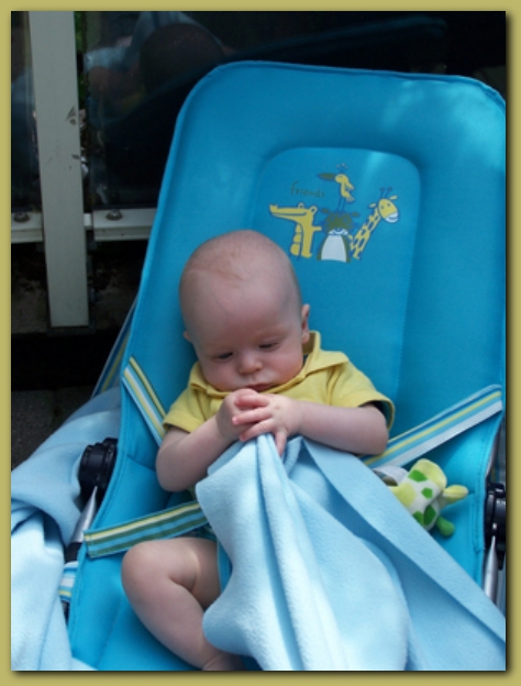 449x598 pixels (182K)